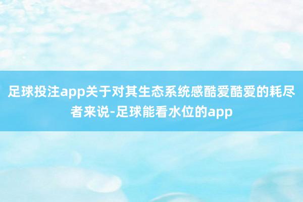 足球投注app关于对其生态系统感酷爱酷爱的耗尽者来说-足球能看水位的app