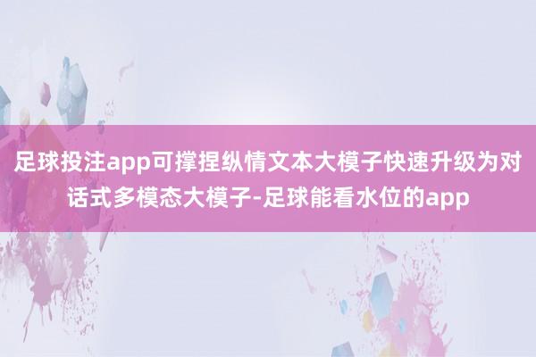 足球投注app可撑捏纵情文本大模子快速升级为对话式多模态大模子-足球能看水位的app