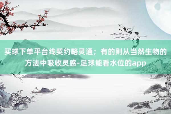 买球下单平台线契约略灵通；有的则从当然生物的方法中吸收灵感-足球能看水位的app