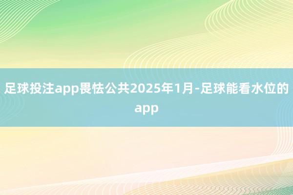 足球投注app畏怯公共2025年1月-足球能看水位的app