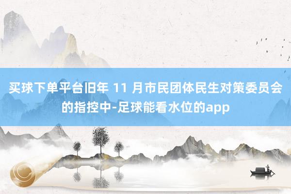 买球下单平台旧年 11 月市民团体民生对策委员会的指控中-足球能看水位的app