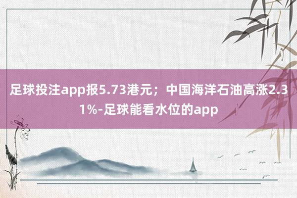 足球投注app报5.73港元；中国海洋石油高涨2.31%-足球能看水位的app