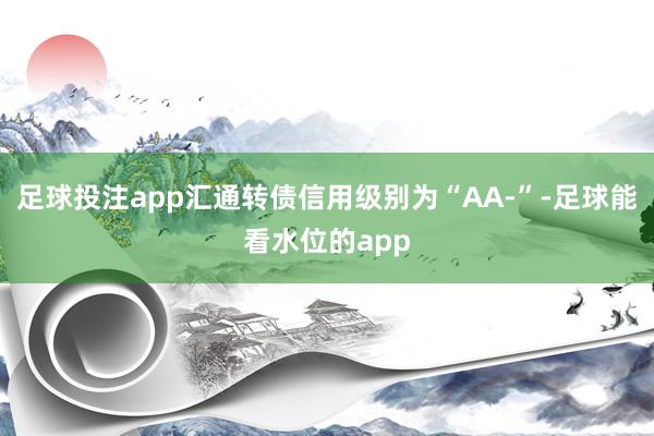 足球投注app汇通转债信用级别为“AA-”-足球能看水位的app