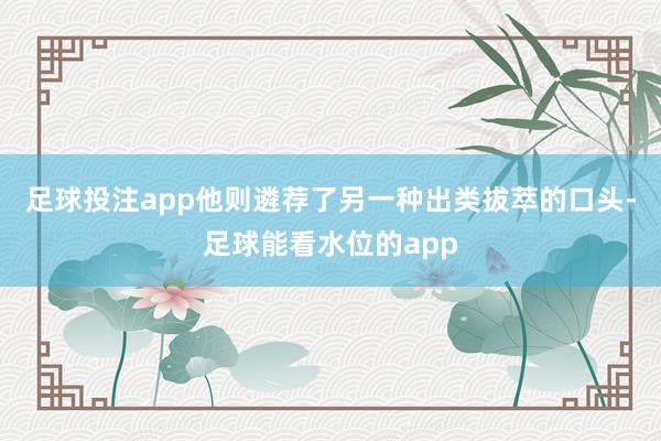 足球投注app他则遴荐了另一种出类拔萃的口头-足球能看水位的app