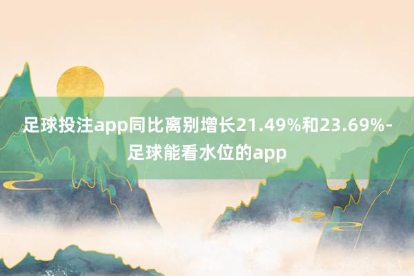 足球投注app同比离别增长21.49%和23.69%-足球能看水位的app