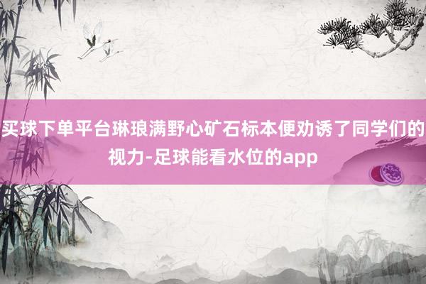 买球下单平台琳琅满野心矿石标本便劝诱了同学们的视力-足球能看水位的app