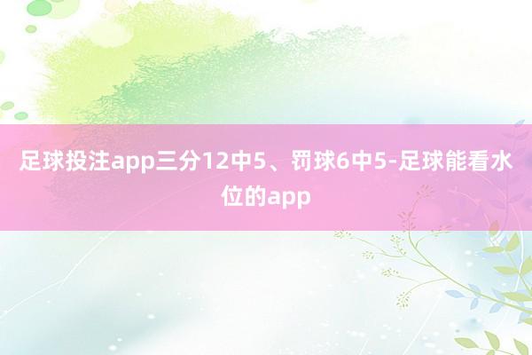 足球投注app三分12中5、罚球6中5-足球能看水位的app