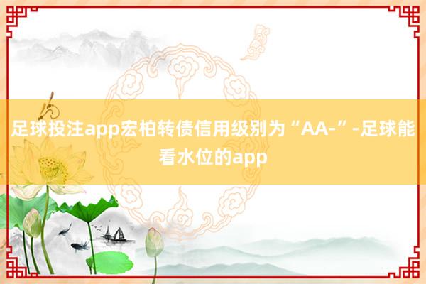 足球投注app宏柏转债信用级别为“AA-”-足球能看水位的app