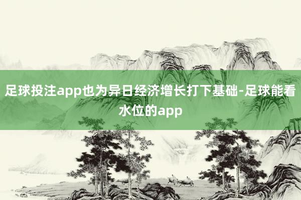 足球投注app也为异日经济增长打下基础-足球能看水位的app
