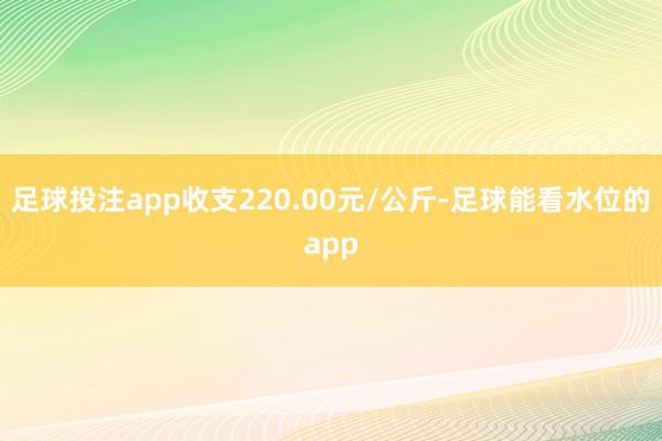足球投注app收支220.00元/公斤-足球能看水位的app