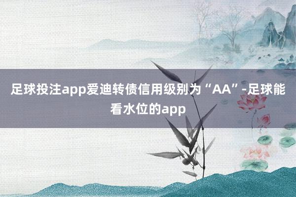 足球投注app爱迪转债信用级别为“AA”-足球能看水位的app