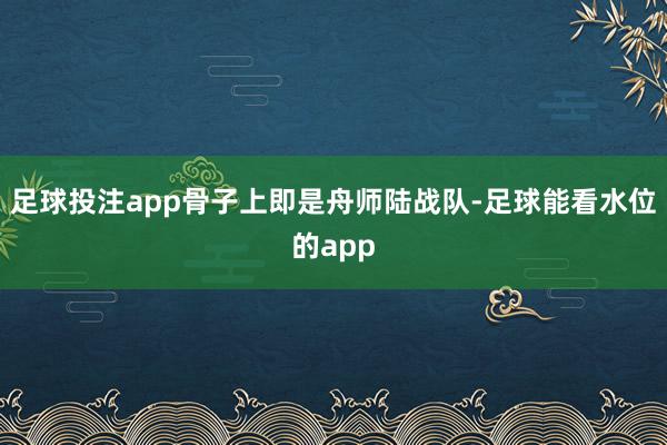 足球投注app骨子上即是舟师陆战队-足球能看水位的app