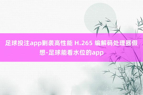 足球投注app剿袭高性能 H.265 编解码处理器假想-足球能看水位的app
