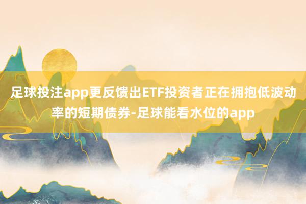 足球投注app更反馈出ETF投资者正在拥抱低波动率的短期债券-足球能看水位的app