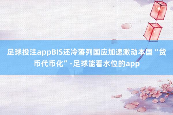 足球投注appBIS还冷落列国应加速激动本国“货币代币化”-足球能看水位的app