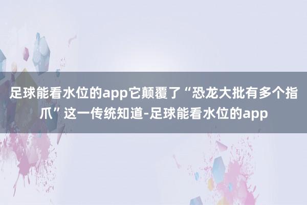 足球能看水位的app它颠覆了“恐龙大批有多个指爪”这一传统知道-足球能看水位的app