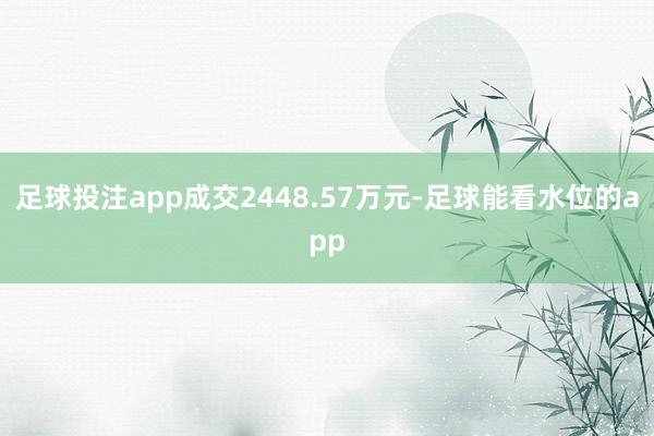 足球投注app成交2448.57万元-足球能看水位的app