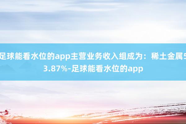 足球能看水位的app主营业务收入组成为：稀土金属53.87%-足球能看水位的app
