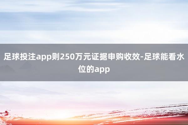 足球投注app则250万元证据申购收效-足球能看水位的app