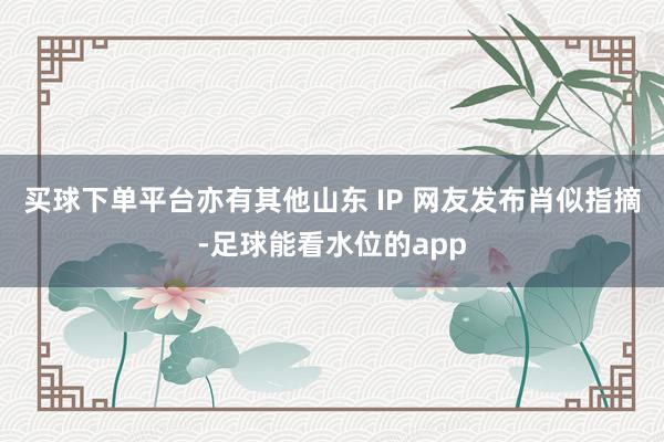 买球下单平台亦有其他山东 IP 网友发布肖似指摘-足球能看水位的app
