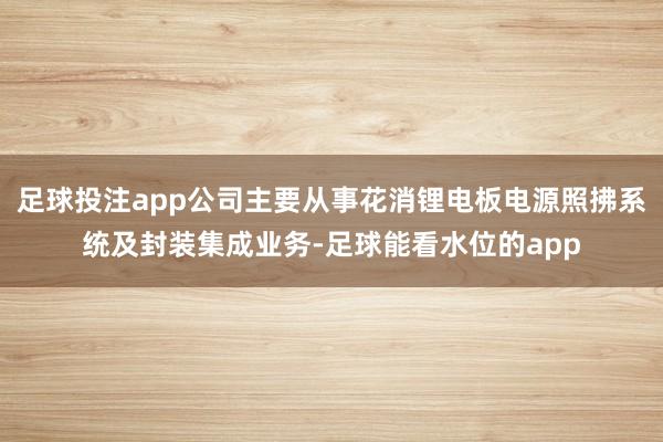 足球投注app公司主要从事花消锂电板电源照拂系统及封装集成业务-足球能看水位的app