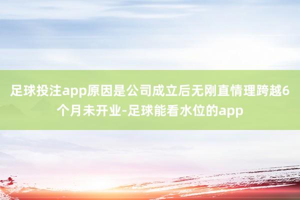 足球投注app原因是公司成立后无刚直情理跨越6个月未开业-足球能看水位的app