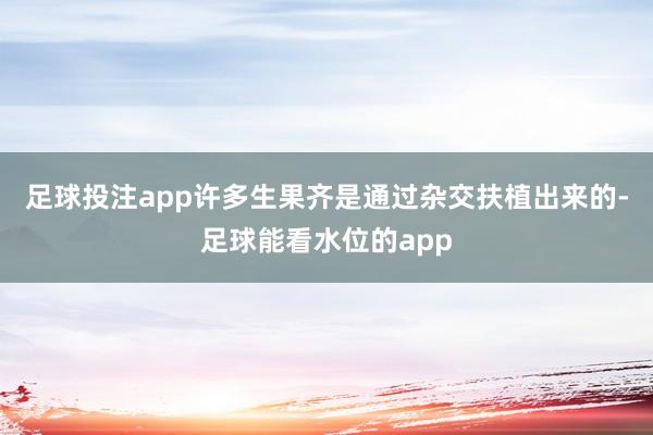 足球投注app许多生果齐是通过杂交扶植出来的-足球能看水位的app