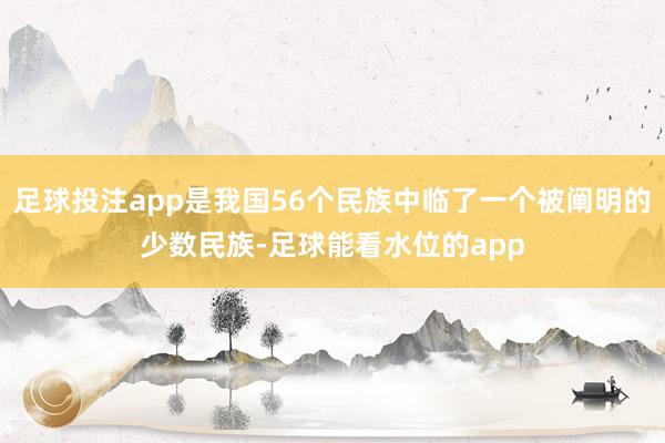 足球投注app是我国56个民族中临了一个被阐明的少数民族-足球能看水位的app