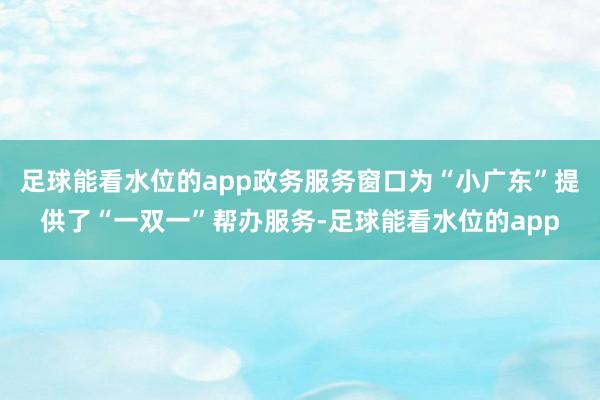 足球能看水位的app政务服务窗口为“小广东”提供了“一双一”帮办服务-足球能看水位的app