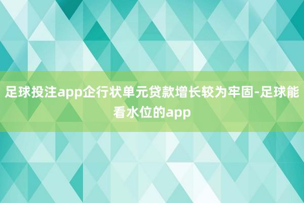 足球投注app企行状单元贷款增长较为牢固-足球能看水位的app