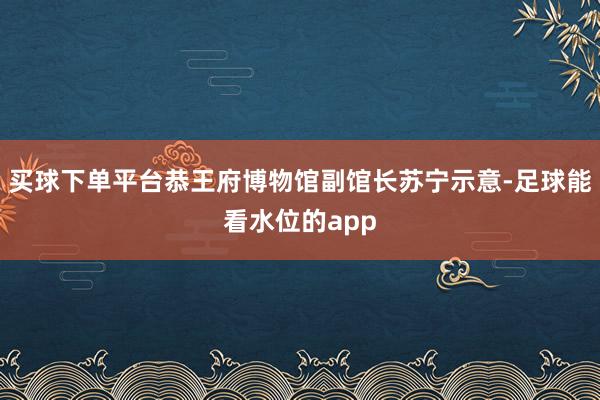买球下单平台恭王府博物馆副馆长苏宁示意-足球能看水位的app