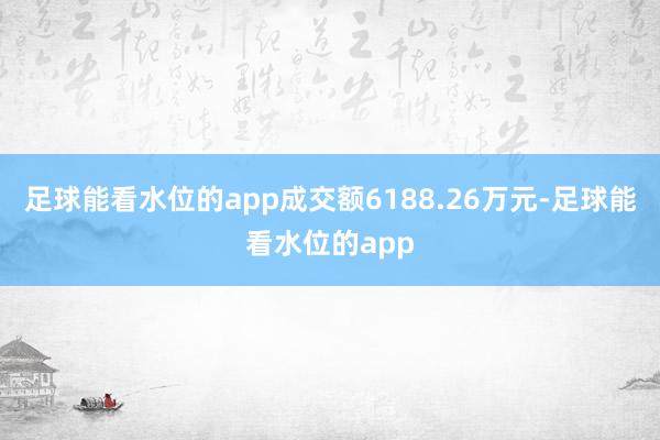 足球能看水位的app成交额6188.26万元-足球能看水位的app