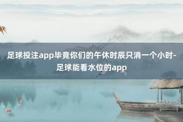 足球投注app毕竟你们的午休时辰只消一个小时-足球能看水位的app