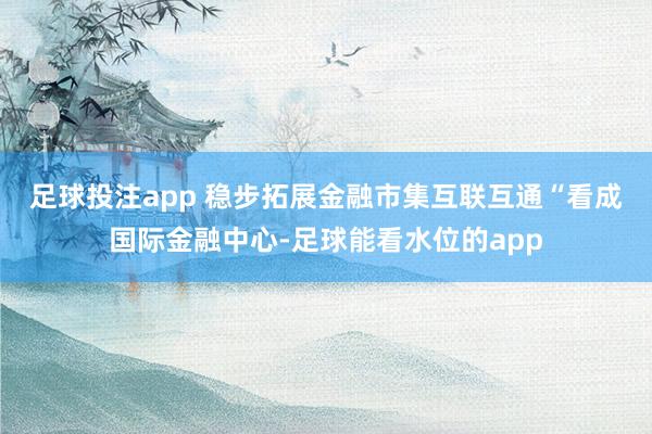 足球投注app 稳步拓展金融市集互联互通　　“看成国际金融中心-足球能看水位的app