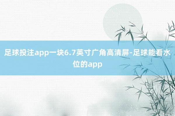 足球投注app一块6.7英寸广角高清屏-足球能看水位的app