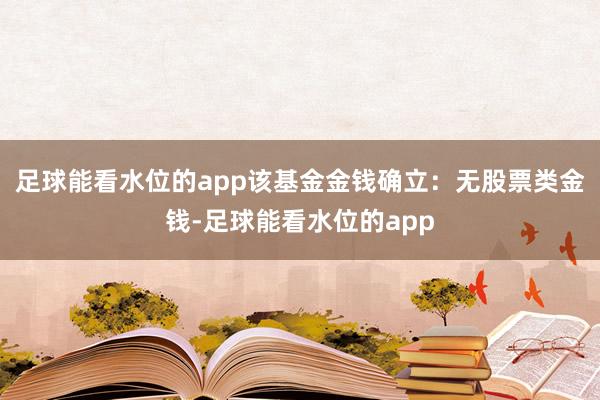 足球能看水位的app该基金金钱确立：无股票类金钱-足球能看水位的app