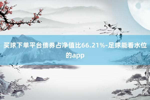 买球下单平台债券占净值比66.21%-足球能看水位的app