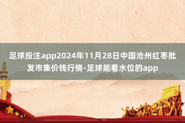 足球投注app2024年11月28日中国沧州红枣批发市集价钱行情-足球能看水位的app