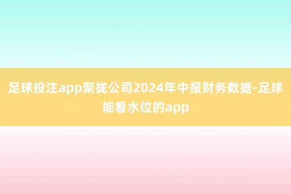 足球投注app聚拢公司2024年中报财务数据-足球能看水位的app