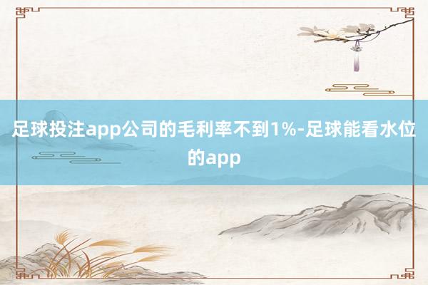 足球投注app公司的毛利率不到1%-足球能看水位的app