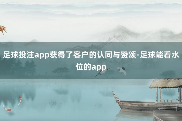 足球投注app获得了客户的认同与赞颂-足球能看水位的app