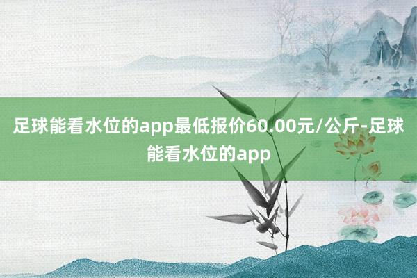 足球能看水位的app最低报价60.00元/公斤-足球能看水位的app