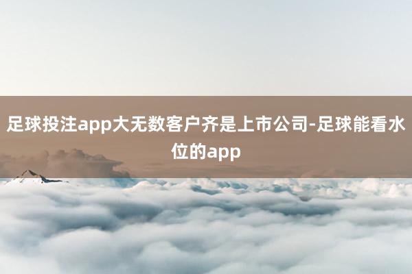 足球投注app大无数客户齐是上市公司-足球能看水位的app
