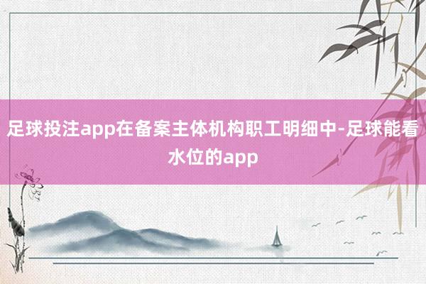 足球投注app在备案主体机构职工明细中-足球能看水位的app