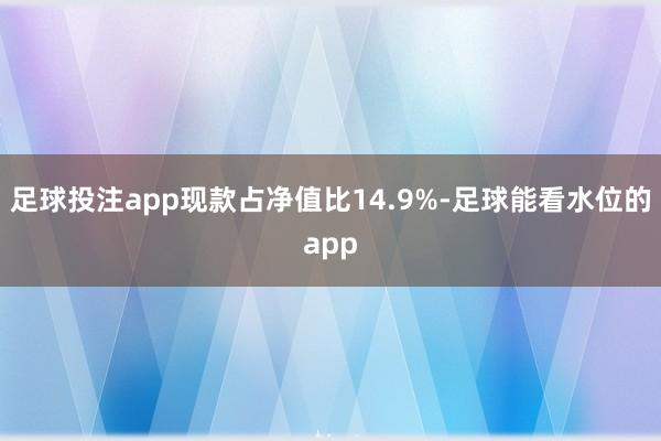足球投注app现款占净值比14.9%-足球能看水位的app