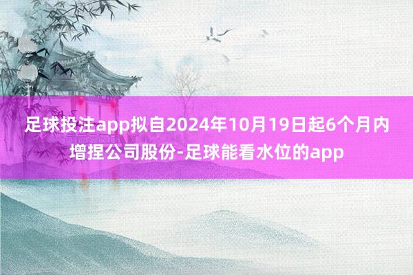 足球投注app拟自2024年10月19日起6个月内增捏公司股份-足球能看水位的app
