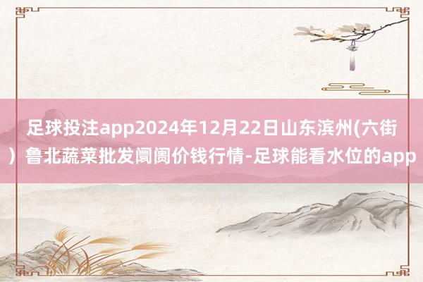 足球投注app2024年12月22日山东滨州(六街）鲁北蔬菜批发阛阓价钱行情-足球能看水位的app