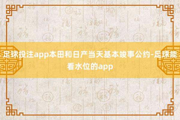足球投注app本田和日产当天基本竣事公约-足球能看水位的app