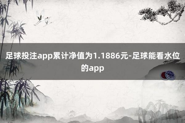足球投注app累计净值为1.1886元-足球能看水位的app