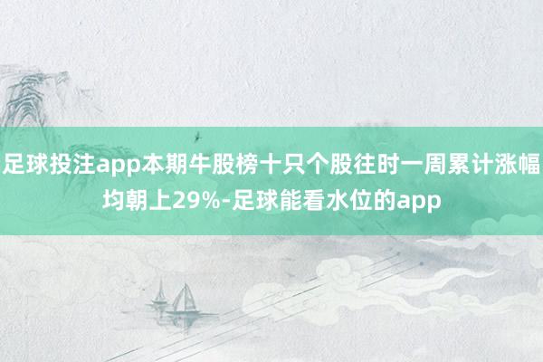 足球投注app本期牛股榜十只个股往时一周累计涨幅均朝上29%-足球能看水位的app